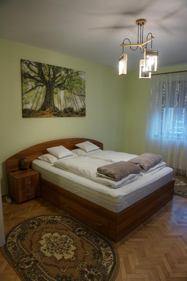 Xili'S Home Sweet Home Braşov Dış mekan fotoğraf